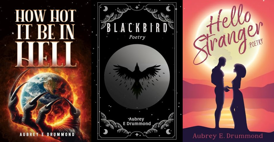 Inside The Circle of The Sun series by Aubrey E Drummond